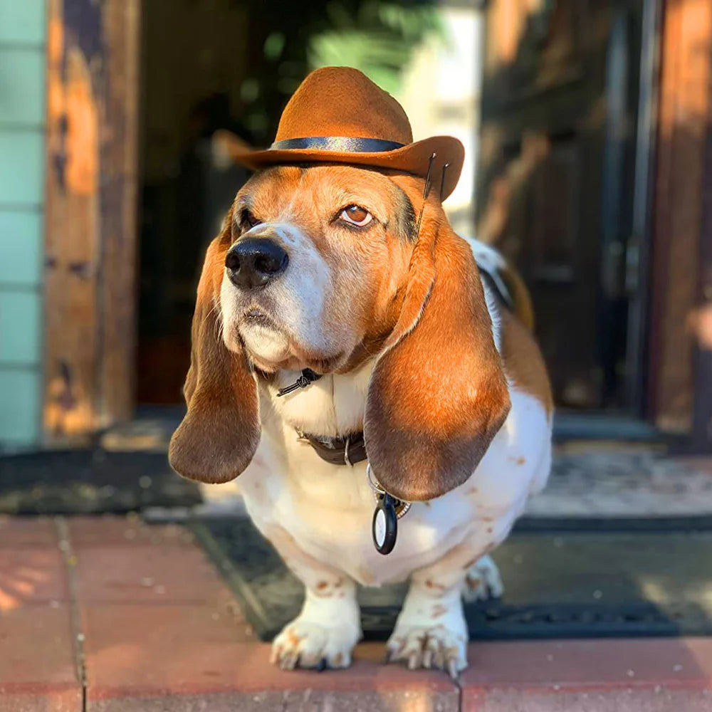 Adjustable Pet Cowboy Hats