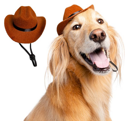 Adjustable Pet Cowboy Hats