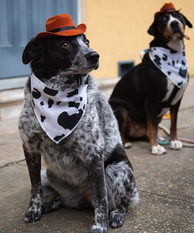 Adjustable Pet Cowboy Hats